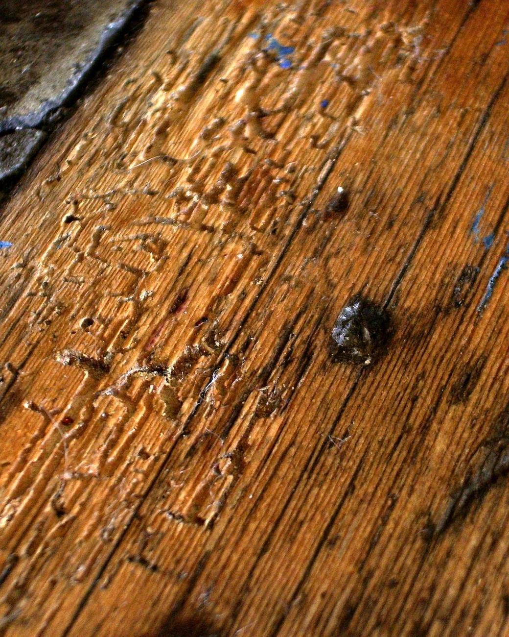 Madera con orificios de bicho taladro